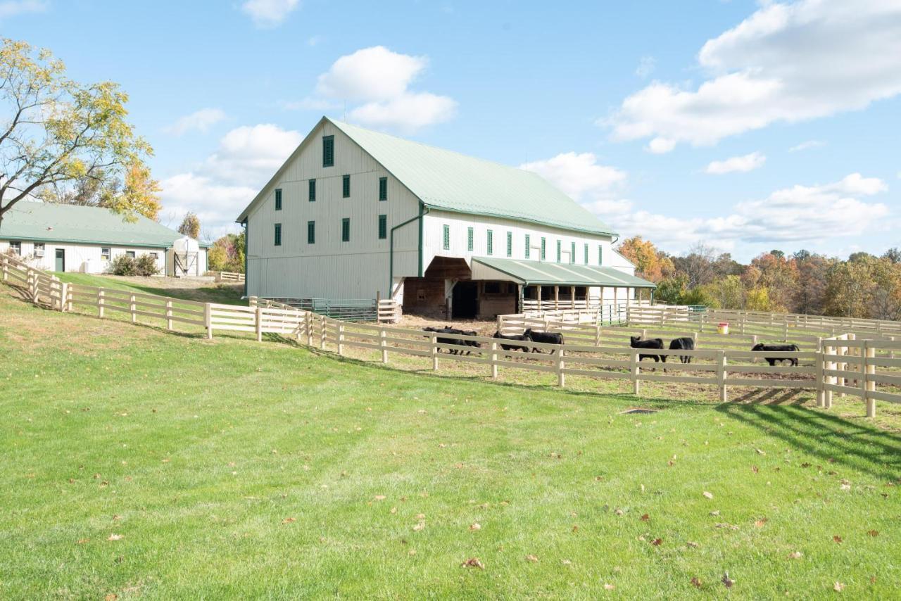 Cozy Cow With Pool! Villa Gettysburg Exterior photo