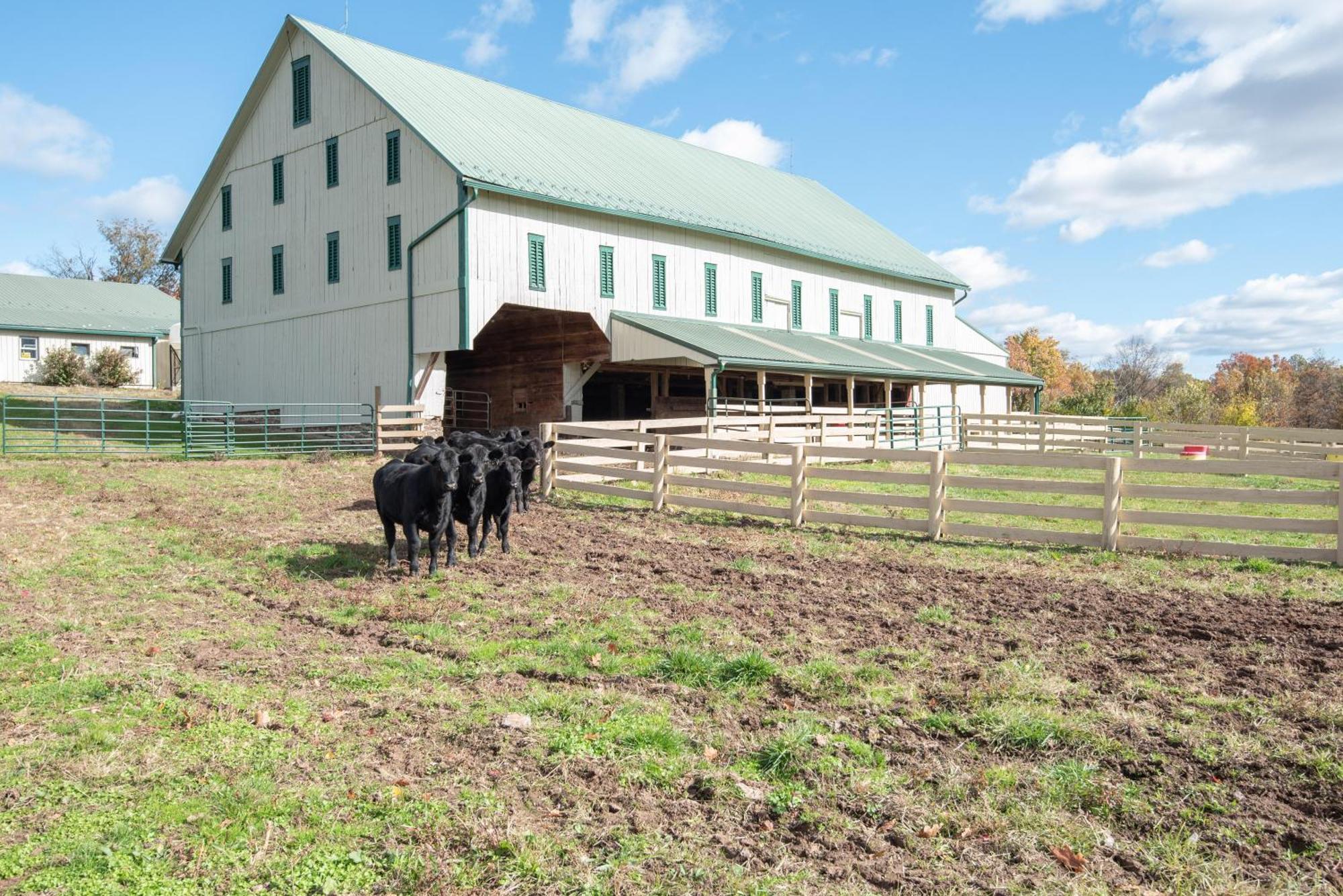 Cozy Cow With Pool! Villa Gettysburg Exterior photo